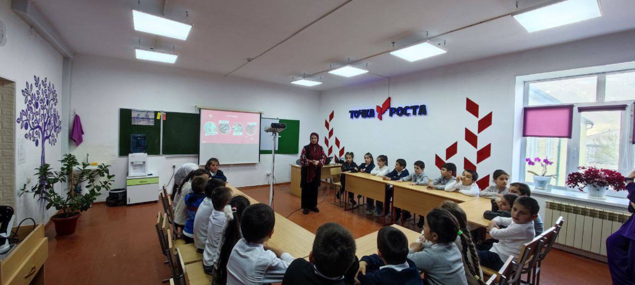 &amp;quot;Шоу профессий&amp;quot;.